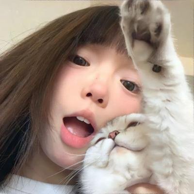 你好卡特